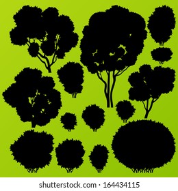 Natural wild bush, tree and scrub plants detailed forest silhouettes illustration collection background vector