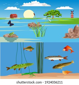 Natural wild landscape, river and lakes with fishes and other habitants, vector landscape