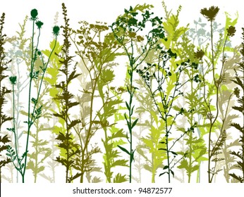 Natural wild plants and weeds silhouettes set – seamless horizontal vector background.