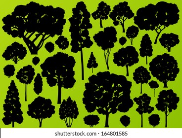 Natural wild tree, bush and scrub plants detailed forest silhouettes illustration collection background vector