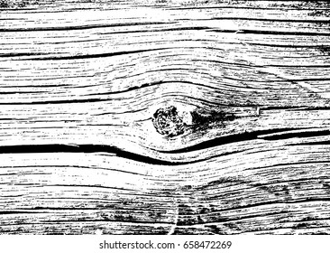 Natural wooden texture. Illustration created using natural material. Grunge, vector, background. Vector illustration