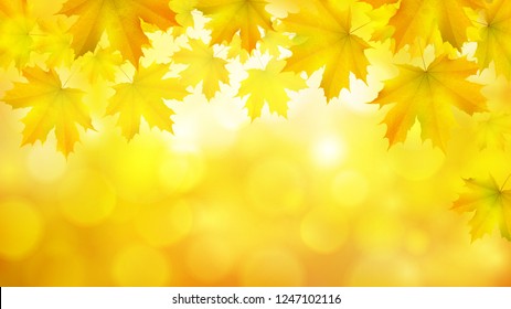 Natural yellow orange horizontal rectangular background with maple leaves snd tree branches, vector autumn background