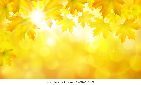 Natural yellow orange horizontal rectangular background with maple leaves, tree branches and sun rays, vector autumn background