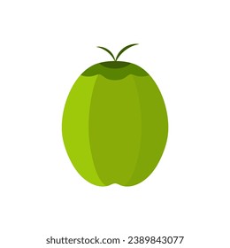 Ilustración vectorial de diseño plano natural Young Coconut. logotipo de coco fresco adecuado para el verano, diseño vectorial y aislado en fondo blanco.