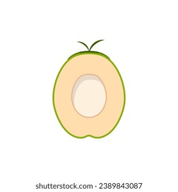 Ilustración vectorial de diseño plano natural Young Coconut. logotipo de coco fresco adecuado para el verano, diseño vectorial y aislado en fondo blanco.