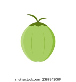 Natural Young Coconut flat design vector illustration. fresh coconut logo suitable for summer, vector design and isolated on white backgrounds.