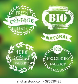 Natural,bio,eco logotype creator.Vector green,ecology logo,badges, labels set,ribbons,isolated elements,laurel wreath,frames,lettering titles.Floral Organic design template,menu.Hand drawing stamps