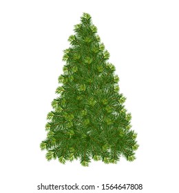 Naturalistic drawing of green Christmas tree isolated on white background. Vector illustration.