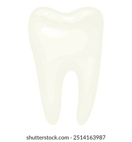 Dente limpo branco naturalista com raízes. Molar, higiene oral. Ilustração vetorial para dentistas.