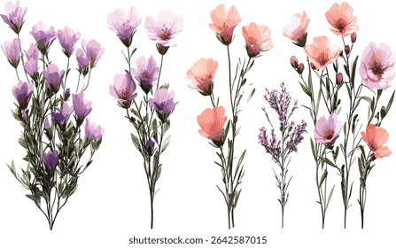 Naturally flowering blooms, set of vector illustrations, transparent background flowers, blooming nature, fresh botanical artwork, floral patterns, spring bloom design