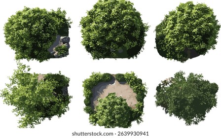Naturally grown trees, aerial view vector, landscaping set, forest trees, outdoor greenery, ecofriendly landscape, natural environment, transparent PNG, green nature, tree design