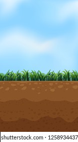 Nature above and underground illustration