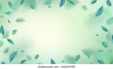 Nature abstract background with spring green leaves vector illustration