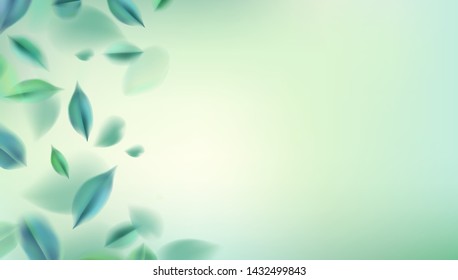 Nature abstract background with spring green leaves vector illustration