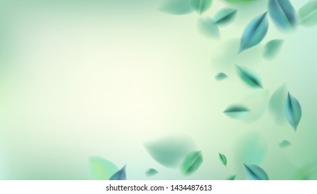 Nature abstract background with spring green leaves vector illustration