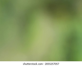Nature abstract green blurred background. Vector illustration