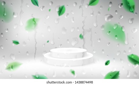 Nature abstract studio 3d background with green spring leaves and product show stage vector design