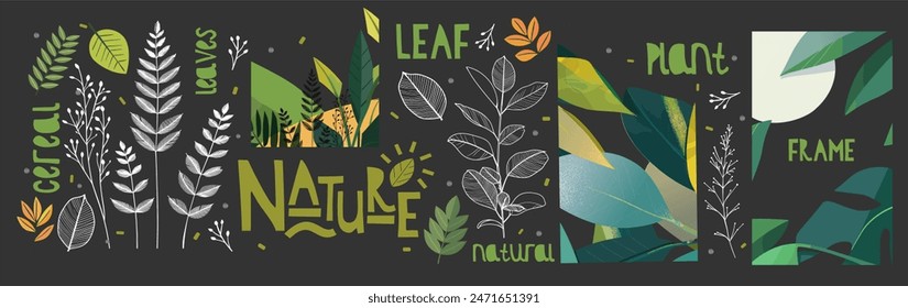 Nature. Abstract tropical leaves. Vector modern trendy plant illustration of plant, summer, green leaf,  frame for botanical background, poster,  or pattern. Line art.Drawn with chalk on a blackboard