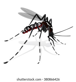 Nature, Aedes Aegypti Mosquitoes Stilt. Ideal For Informational And Institutional Related Sanitation And Care