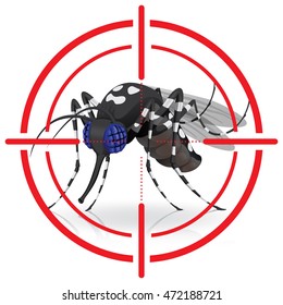 Nature, Aedes Aegypti Mosquitoes Stilt With Sight Signal Side. Ideal For Informational And Institutional Related Sanitation And Care