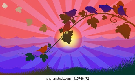 nature and animals