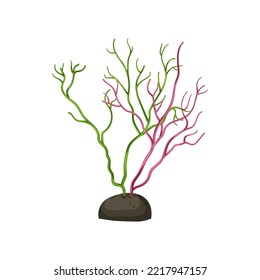 nature aquarium plant cartoon. nature aquarium plant sign. isolated symbol vector illustration