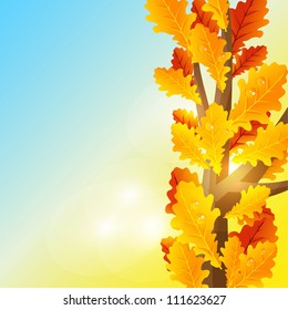 nature background