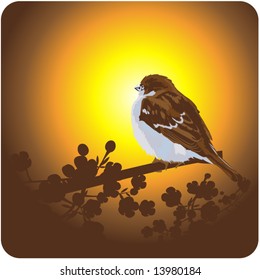 nature background