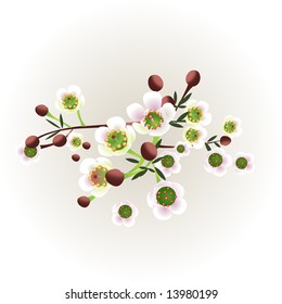nature background