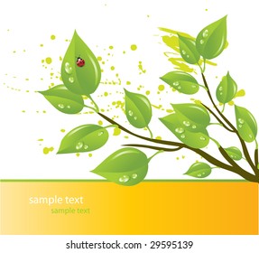  nature background