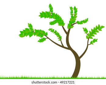 nature background