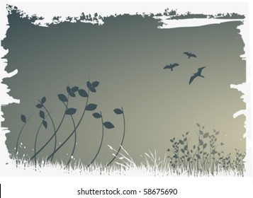nature background