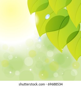 Nature background