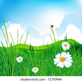 Nature background
