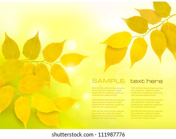 Nature background with autumn yellow leaves . Vector illustration.