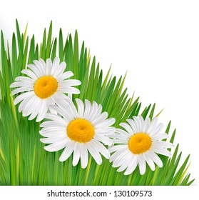 Nature background with beautiful flowers.Vector illustration