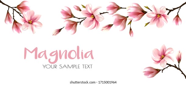 Nature background with beautiful magnolia branches. Vector.