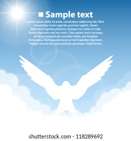 nature background bird. collection.