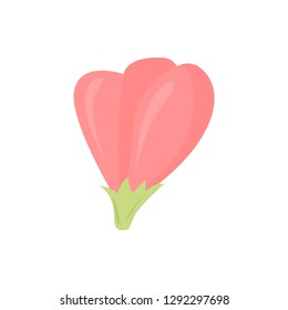 Nature background with blossom branch of pink flowers and butterfly. Vector
