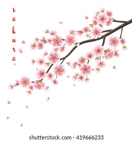 Nature background with blossom branch of pink sakura flowers. Template isolated on white background. EPS 10 vector file included