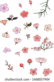 Nature background with blossom branch of sakura flower vector on isolate background.Branch of cherry blossom on white.Sakura vector set.