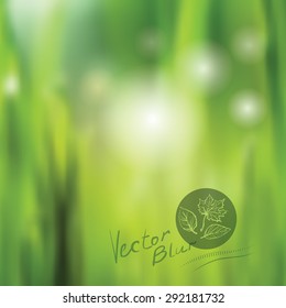 Nature background with blurred grass and bokeh, Vector illustration