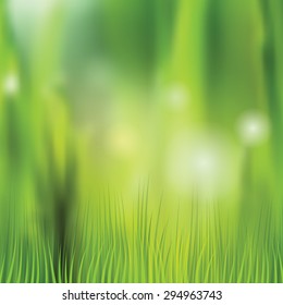 Nature background with blurred grass and bokeh, Vector illustration, Eps-10