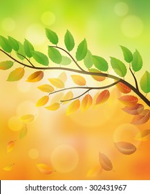 Nature background with branch and falling leaves from summer to autumn