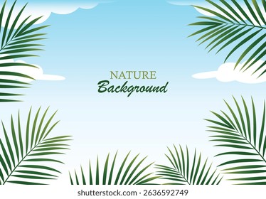 Nature Background of coconut leaves under the blue sky
