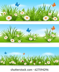 Nature background with daisy, butterfly and ladybug in the grass on sunny sky background 