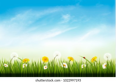 Nature background with dandelions. and daisies. Vector.