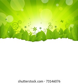 Nature Background With Flower And Butterflies, Vector Illustration
