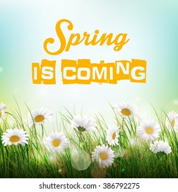 Nature Background with Flowers in the grass.Vector