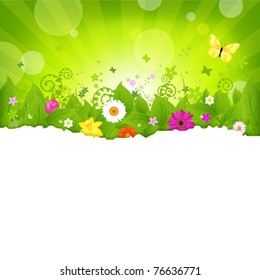 Nature Background With Flowers, Isolated On White Background, Vector Illustration